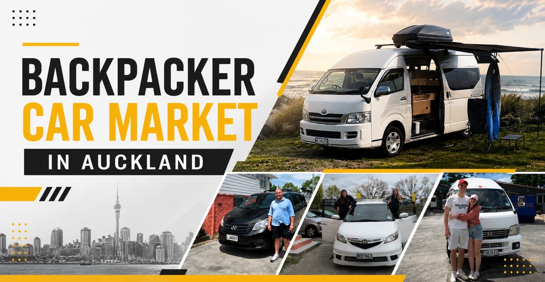 Backpacker car market in Auckland