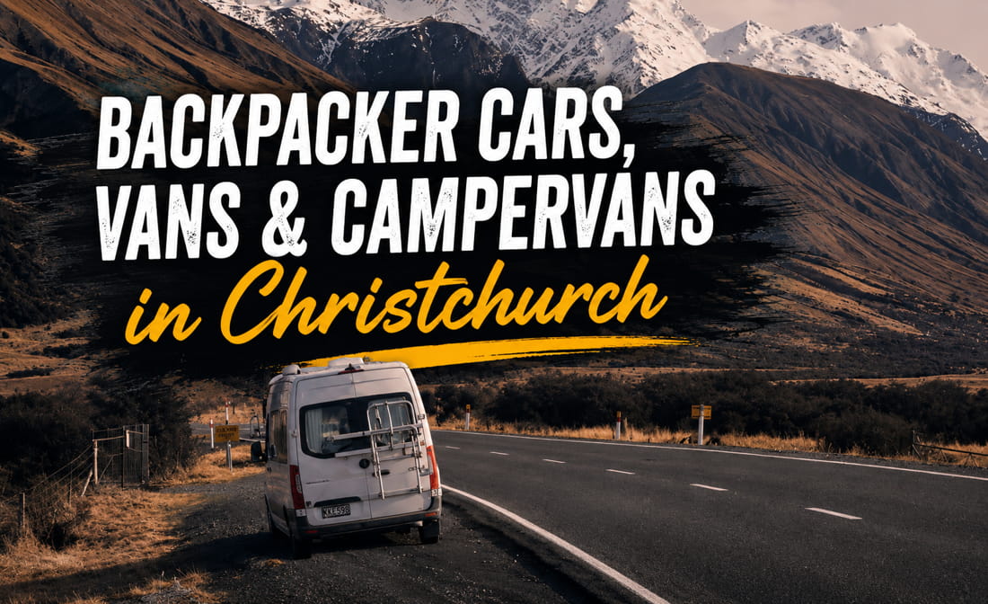 Backpacker cars in Christchurch